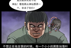 蛊虫漫画,神秘蛊术与奇幻冒险的交织之旅